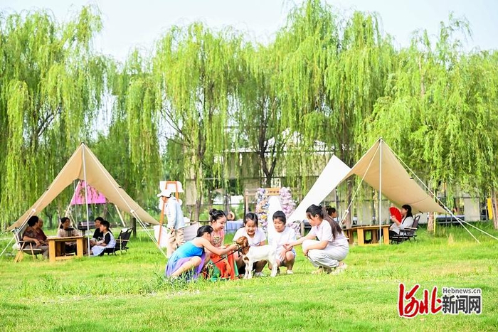 从“工业锈带”到“生活秀带” ③｜矿坑里“长”出城市公园