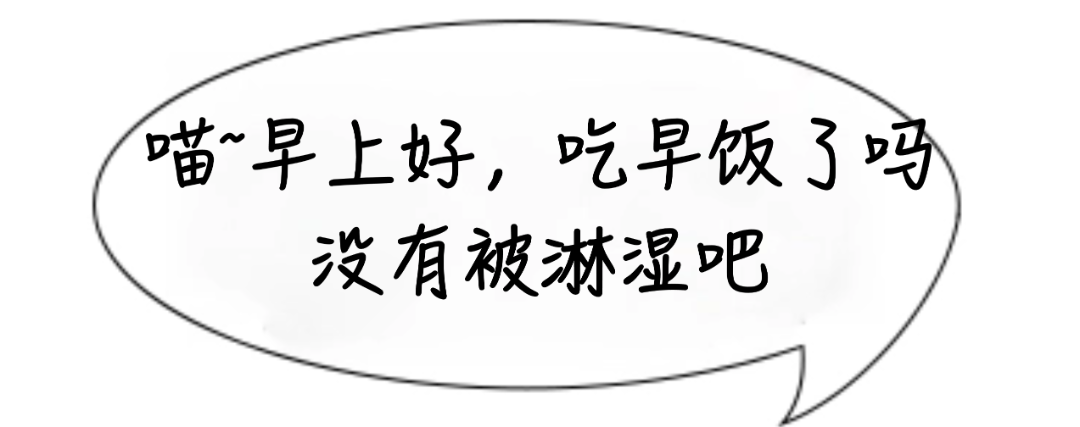 早餐吃鸡蛋，有利于控制体重